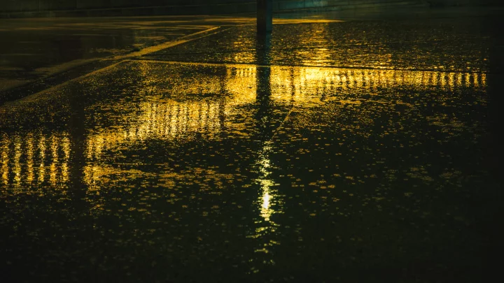 Portrait cinématographique de De retour au bercail