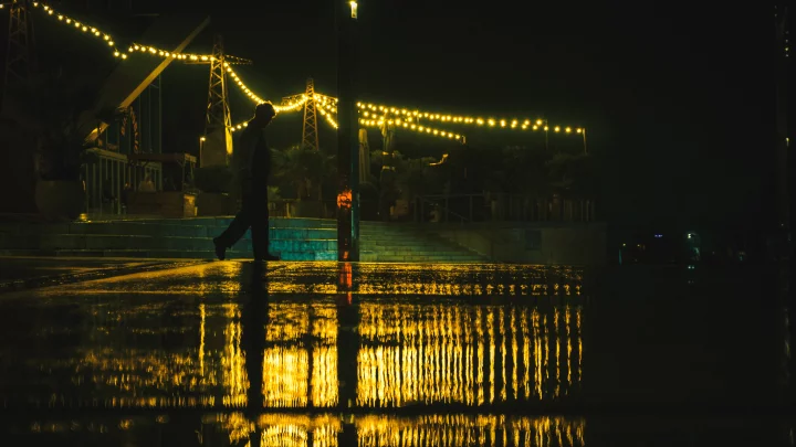 Portrait cinématographique de De retour au bercail