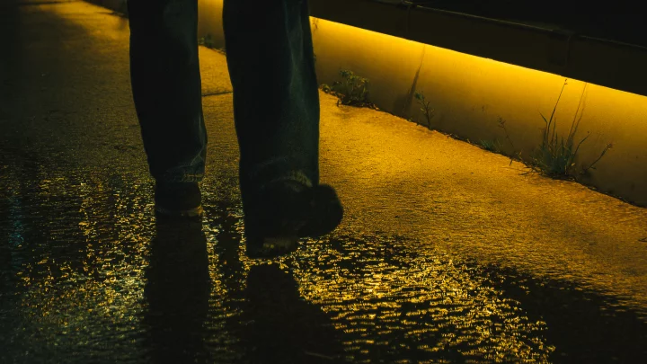 Portrait cinématographique de De retour au bercail