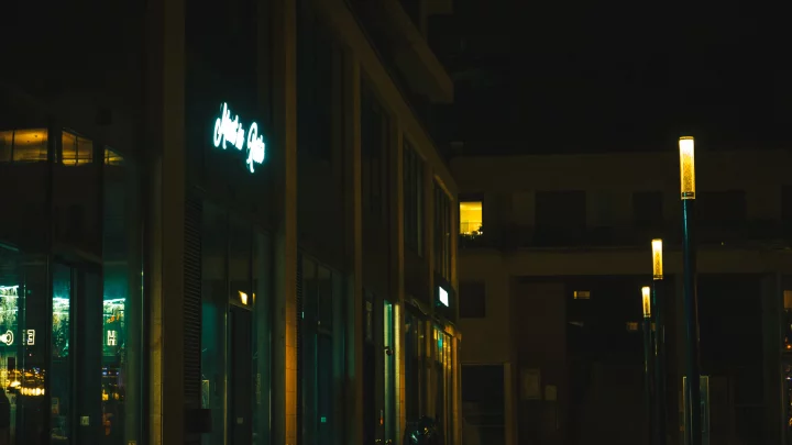 Portrait cinématographique de De retour au bercail