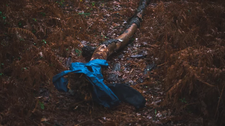 Portrait cinématographique de La disparition