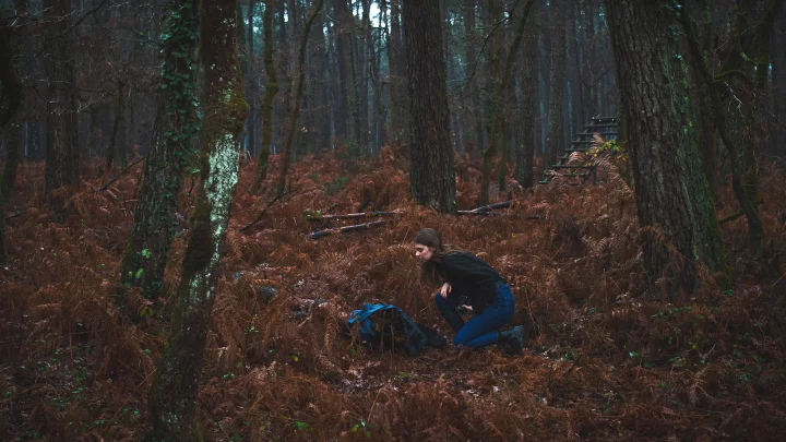 Portrait cinématographique de La disparition