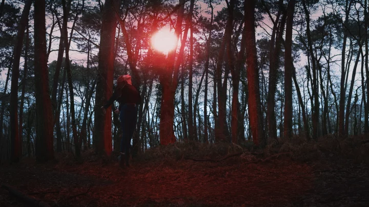 Portrait cinématographique de La disparition