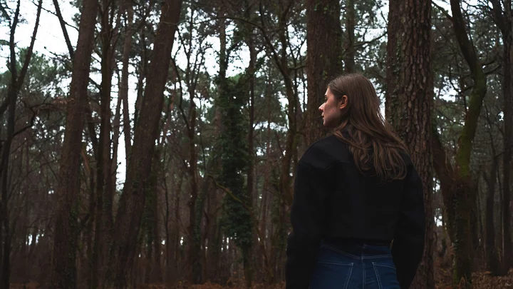 Portrait cinématographique de l'histoire : La disparition