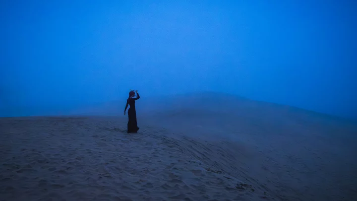 Portrait cinématographique de L'errance de Makima