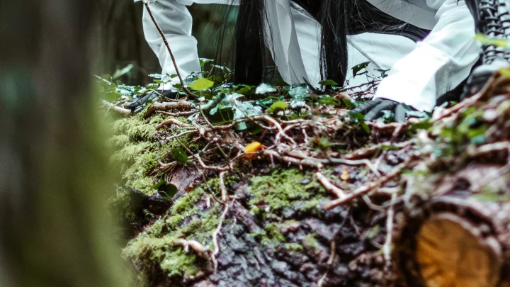 Portrait cinématographique de Onryō : l'esprit rancunier