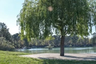 Spot photo : Lac Bleu (Léognan)