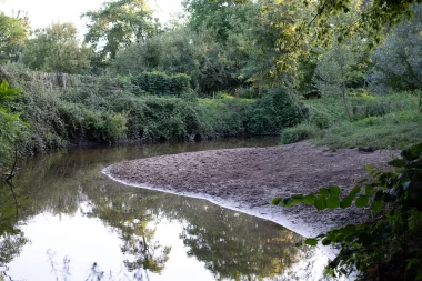 Spot photo : Parc de Mussonville (Bègles)