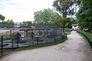 Spot photo : Parc René Canivenc (Gradignan)