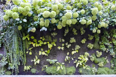 Spot photo : Square Vinet (Jardin Vinet de Bordeaux)